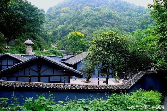 重庆市沙坪坝区繁华吗(重庆市沙坪坝区房屋征收中心)
