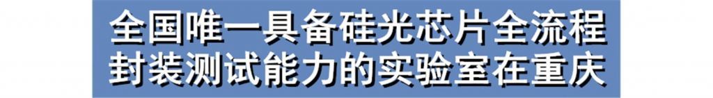 重庆主城九区人口(重庆主城九区人口一共多少)