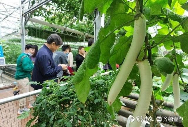 寿光小镇在哪(寿光威尼斯小镇的房子)
