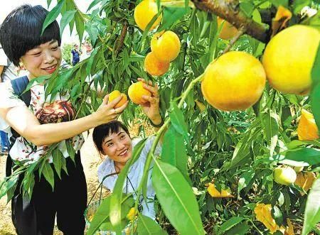 沂水水上乐园在哪里(驻马店水上乐园在哪里)
