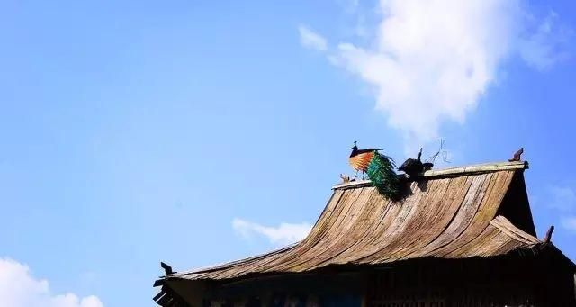 昆明民族村在哪里的简单介绍