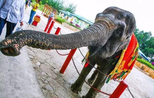 昆明民族村在哪里的简单介绍