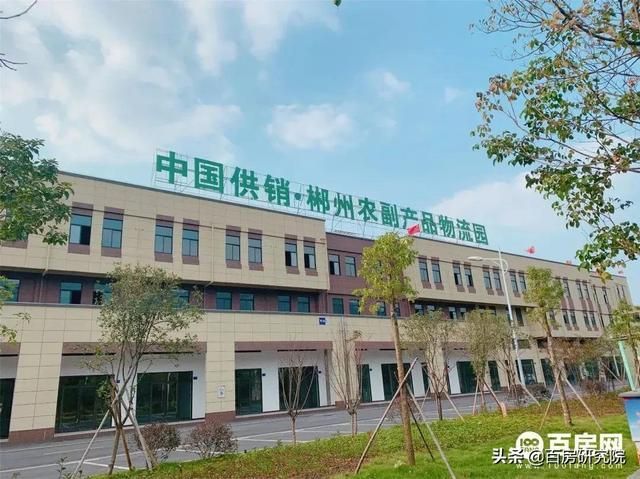 郴州水产批发在哪里(吉林市水产批发在哪里)