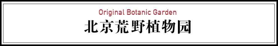 花房在哪里看(1688阿里巴巴批发网)
