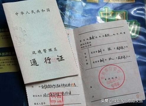 林芝在哪里办边防证(磷脂在哪里合成)