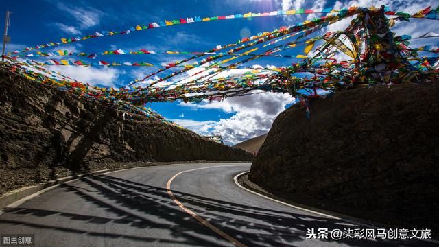 林芝在哪里办边防证(磷脂在哪里合成)