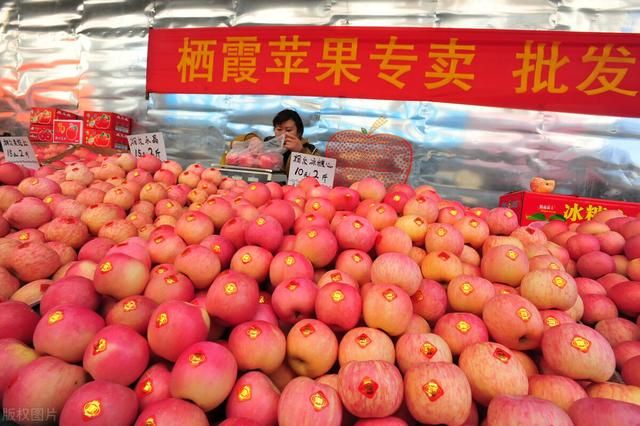 山东苹果产地在哪里(山东苹果产地)