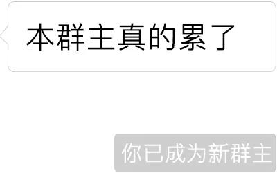 群主你在哪里图片(群主啊你在哪里)