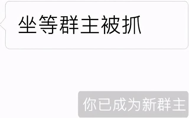 群主你在哪里图片(群主啊你在哪里)