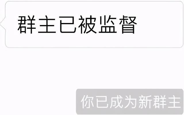 群主你在哪里图片(群主啊你在哪里)