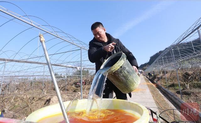达州养牛场在哪里(阜阳养牛场在哪里)