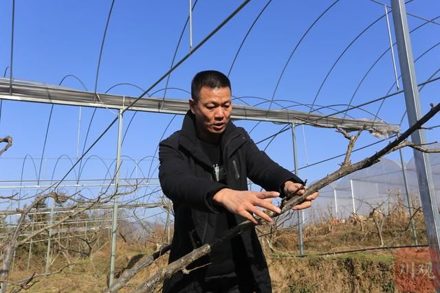 达州养牛场在哪里(阜阳养牛场在哪里)