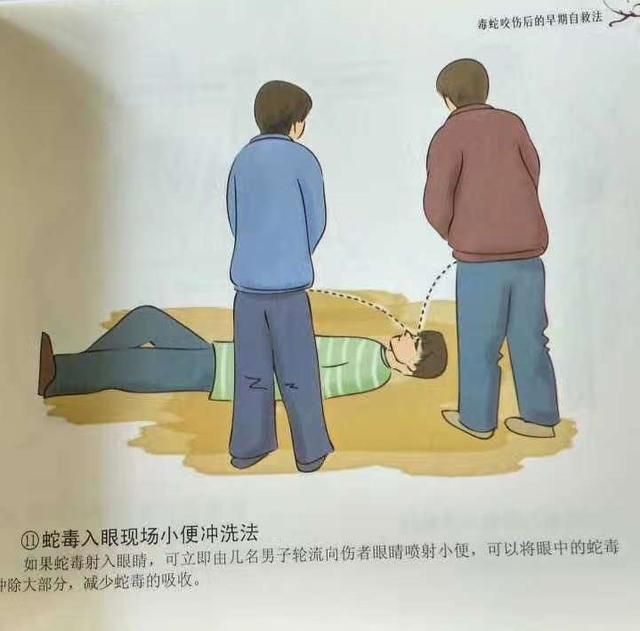尿出处在哪里(尿路在哪里)