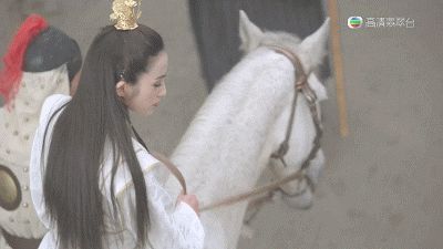 张雪迎家住在哪里(张雪迎的老家在哪里)