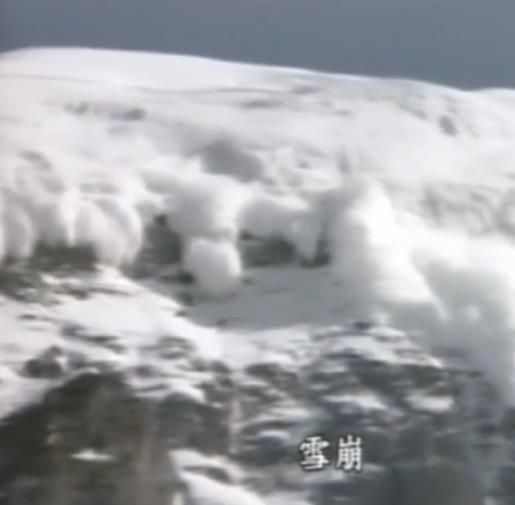 雪山飞狐在哪拍的(雪山飞狐是哪一年拍的)
