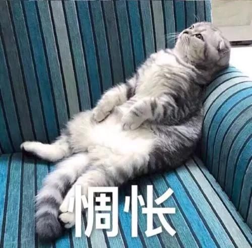 四川巴中医保缴费的简单介绍
