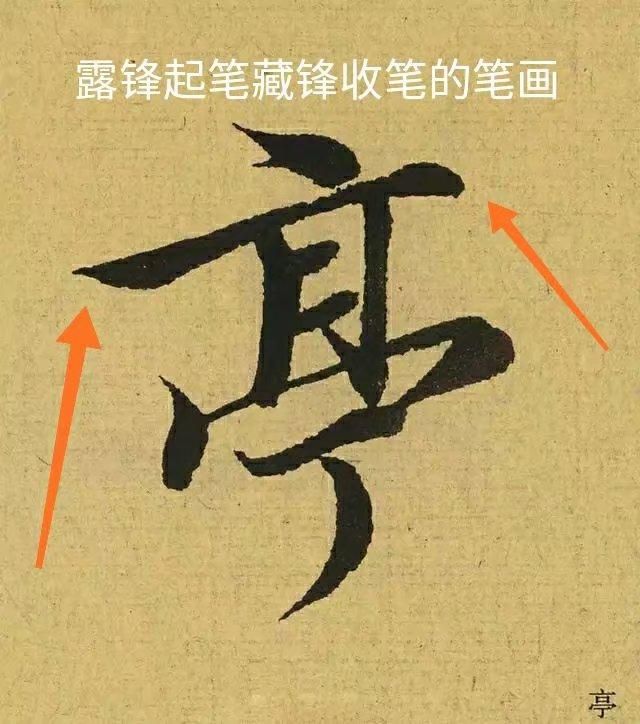 难学在哪里(德语难学在哪里)