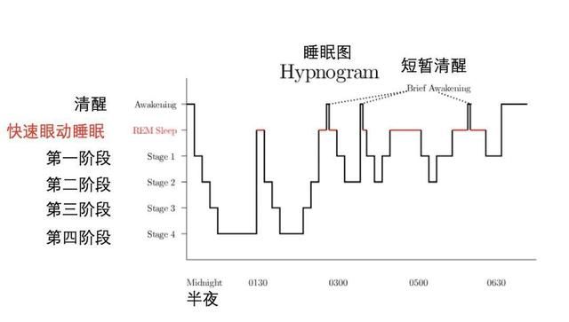 在哪里打盹(在哪里打印社保明细)