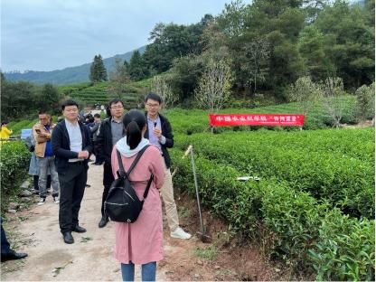 武夷山在哪边(武夷山在哪个省哪个市哪个区)
