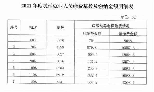 云南电子税务局交养老保险(云南电子税务局交养老保险下载)