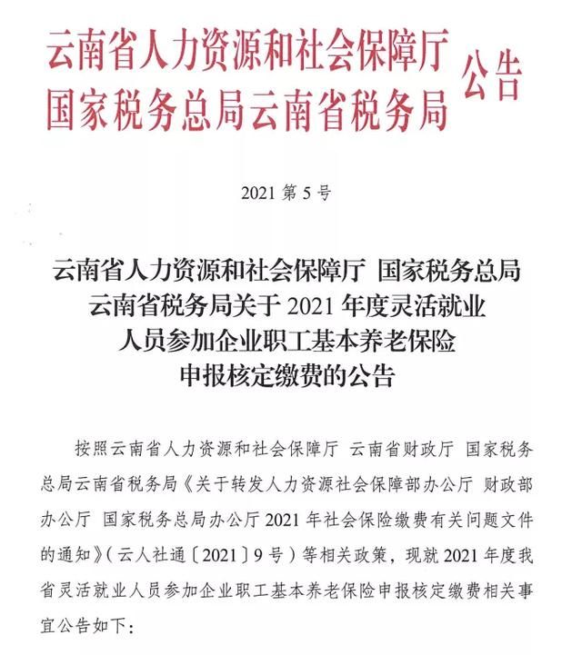 云南电子税务局交养老保险(云南电子税务局交养老保险下载)