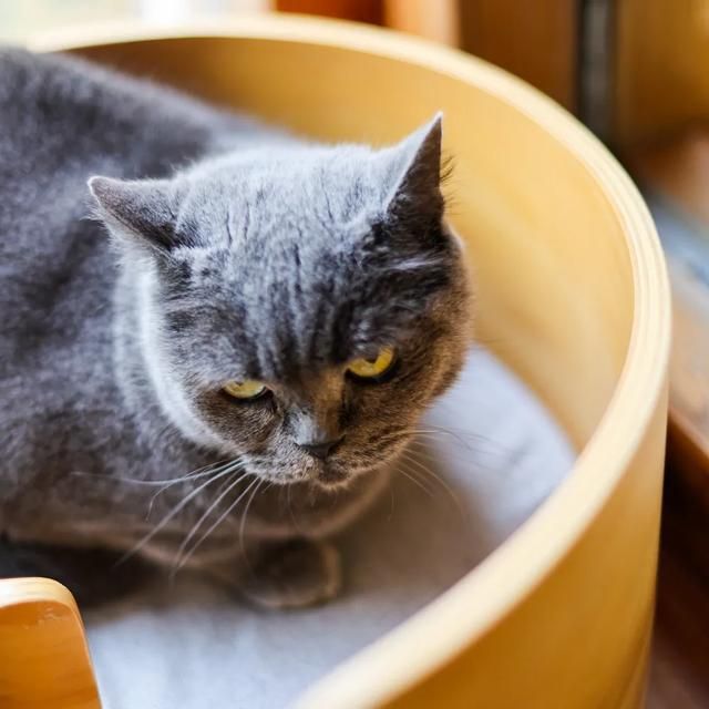 冬天在哪呀(冬天在哪里)
