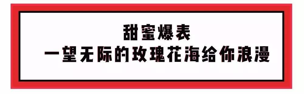 乐山玫瑰庄园在哪里(获嘉玫瑰庄园在哪里)