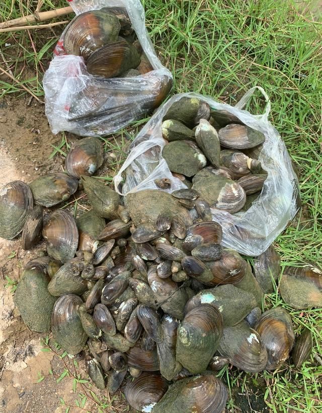 衡阳钓鱼地方在哪里(衡阳西渡钓鱼的地方)