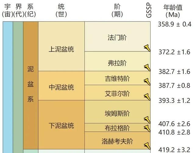森林盆在哪(森林朋友资源)