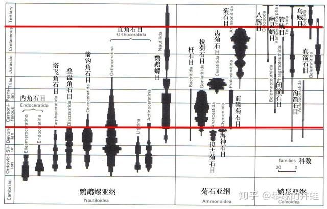 森林盆在哪(森林朋友资源)