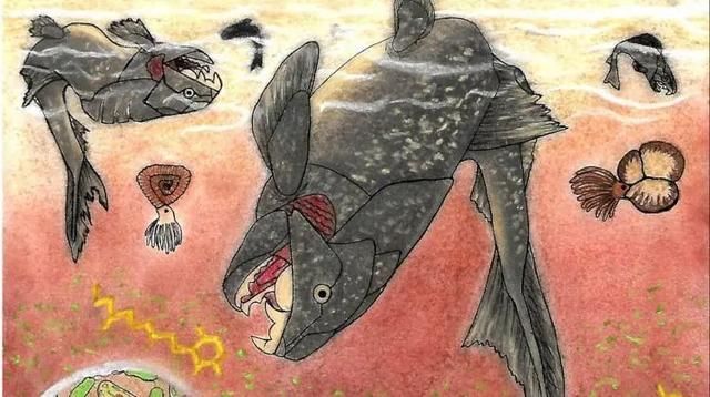 森林盆在哪(森林朋友资源)