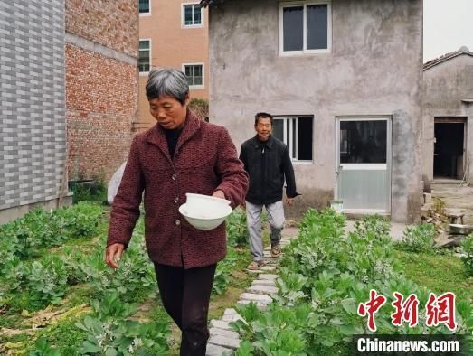 冬英在哪里(东营在哪里在哪个市)