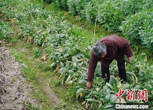 冬英在哪里(东营在哪里在哪个市)