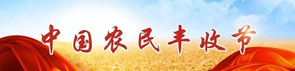 宝坻葫芦小镇在哪里(宝坻香江健康小镇在哪里)