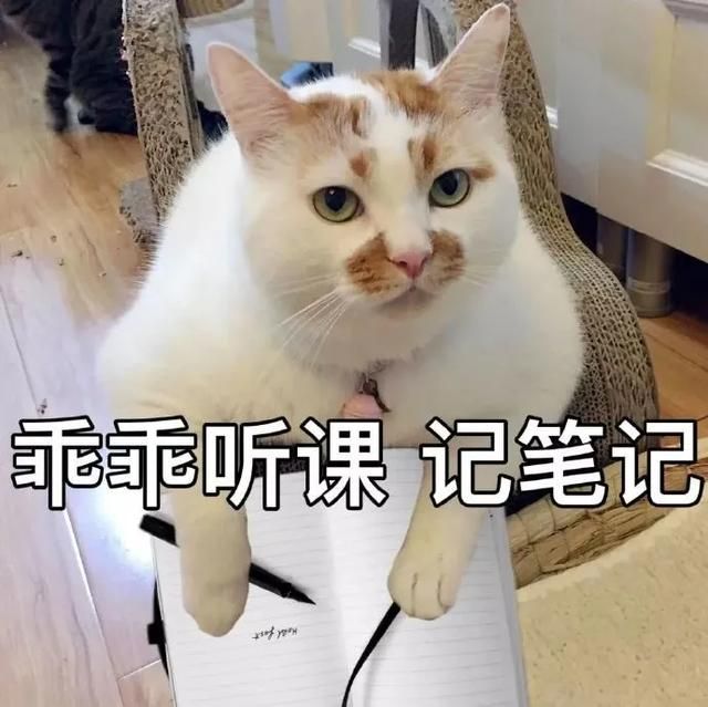 海口海口公司电话怎么申请的简单介绍