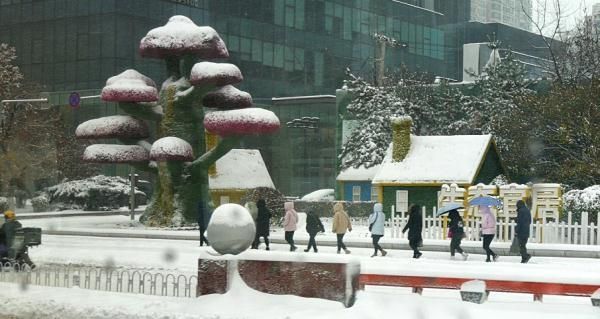 沈阳辽二在哪(沈阳辽二小学地址)