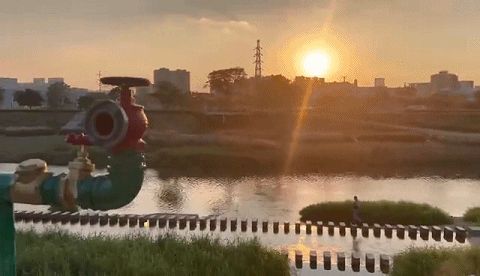 光明厂在哪(光明厂房出租信息网)