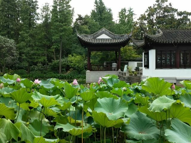 测绘工作室经营范围(测绘工作室)