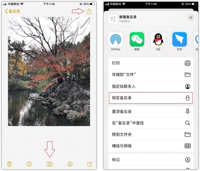 苹果的扫一扫在哪里(苹果手机浏览器扫一扫功能在哪里)