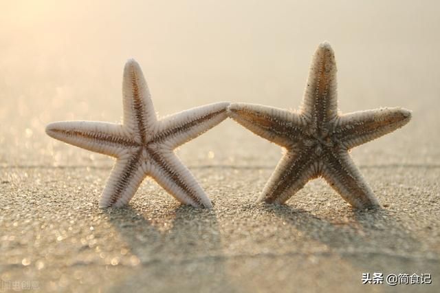 海星汤在哪(海星汤的功效与作用)