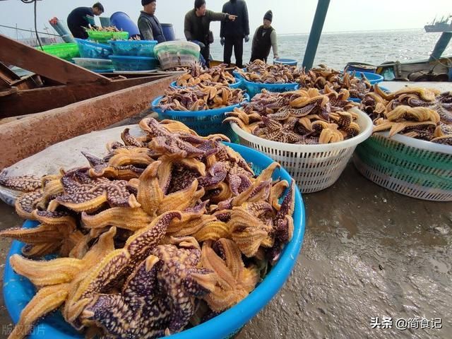 海星汤在哪(海星汤的功效与作用)