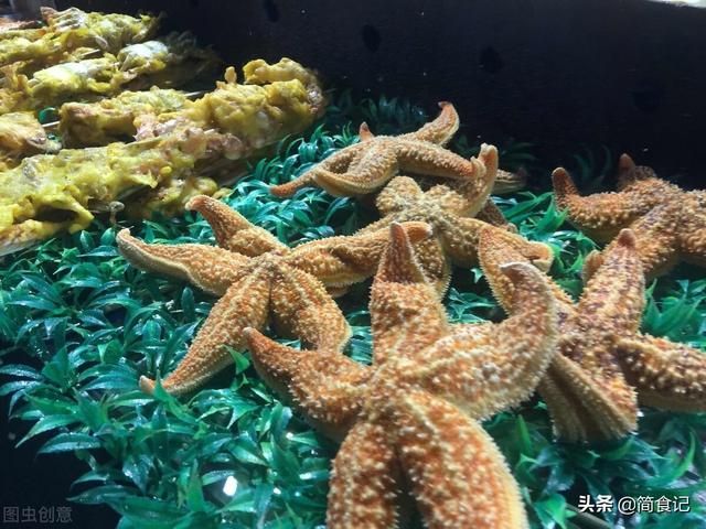 海星汤在哪(海星汤的功效与作用)