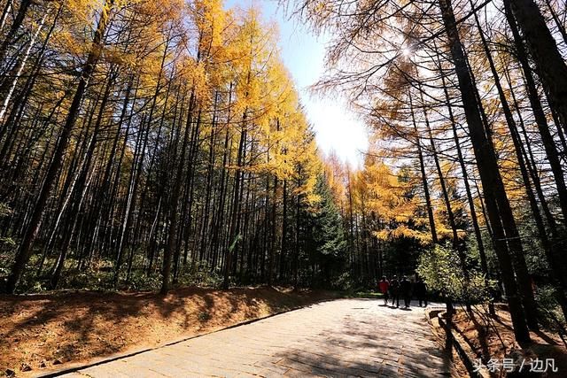 威虎山在哪(座山雕在的威虎山在哪)