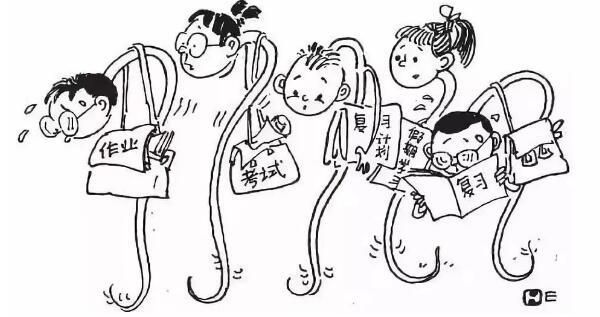 下鼻甲在哪个位置(双侧下鼻甲在哪个位置)