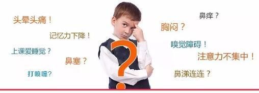 下鼻甲在哪个位置(双侧下鼻甲在哪个位置)