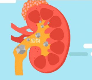 原尿藏在哪的简单介绍