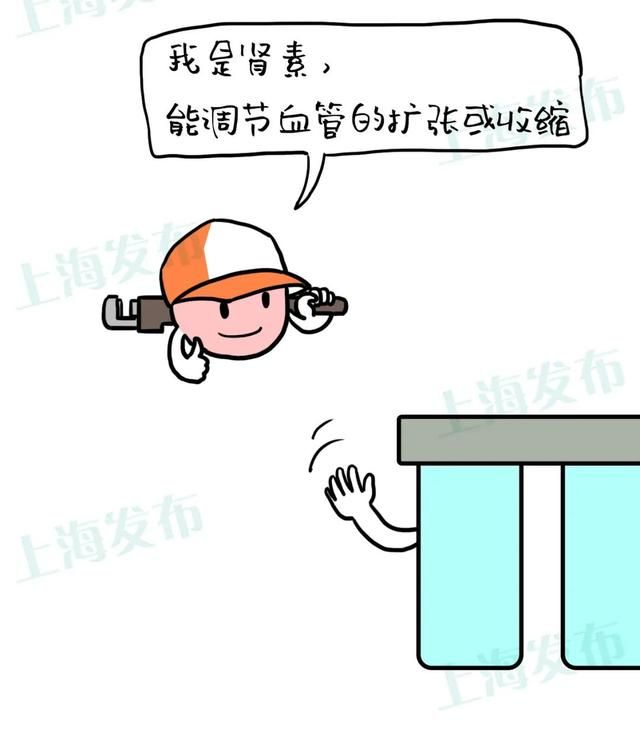 原尿藏在哪的简单介绍