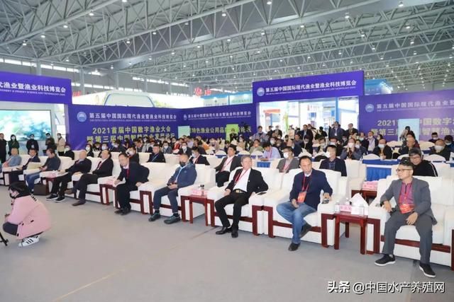 关于颍上工商注册资质代办代理记账的信息