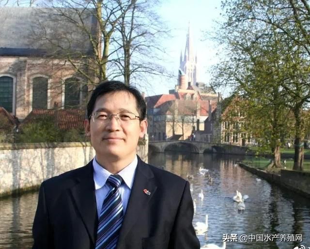 关于颍上工商注册资质代办代理记账的信息