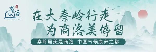 秦岭山旅游景点在哪里(秦岭十大旅游景点)